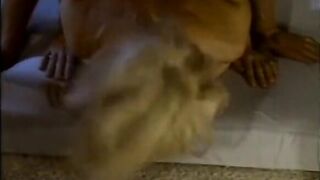 Nina Hartley and her lover fucking passionately