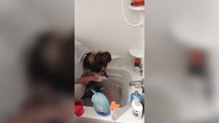 Charming gal gives kitten a washroom
