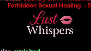 Cross Country Sin a Widower’s Illicit Raunchy Healing Part 54 - English Audio Sex Story