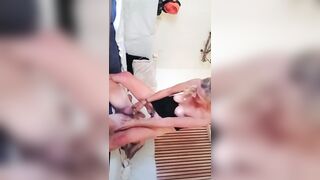 Chatte Trempée