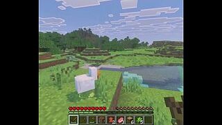 Minecraft but if i take injury i get..railed?
