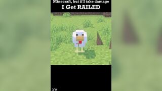 Minecraft but if i take injury i get..railed?