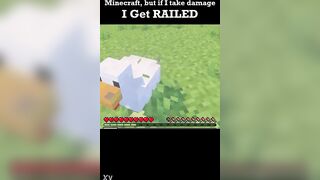 Minecraft but if i take injury i get..railed?