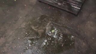 A brunette hair pees in the yard. Her twat produces tons of urine outdoors.