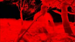 Mad smutty sex in a wild beach