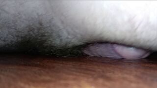 Humping My Kitchen Floor