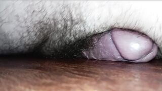 Humping My Kitchen Floor