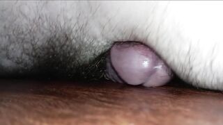 Humping My Kitchen Floor