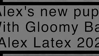 Alex's Recent Puppy Full, Movie - Alex Latex