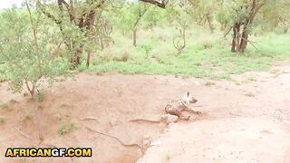 I ended up screwing my EBONY GF hard in the midst of our safari trip… this babe took my BWC unfathomable in the van