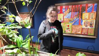Whangarei Vlog: The Museum Was Good but the Sex After Was Next Level!