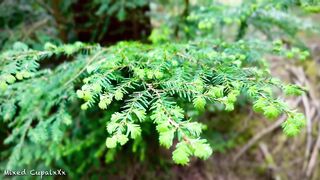 Hawt Dude Andrei Walks Unfathomable Into The Pine Forest? And Can’t Resist Jerking A Giant Jizz flow Out Of His BWC??????