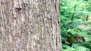 Hawt Man Andrei Walks Unfathomable Into The Pine Forest ?This guy Can not Resist Jerking A Giant Spunk flow Out Of His BWC???????(HD)