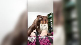 trotzillathegod rides penis hard throughout intensive reality