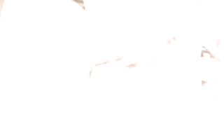 Ami cuñada le encanta mamar mi polla
