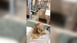 Amateur Public Teach Bang