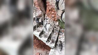 I peed in an abandoned Latvian castle.