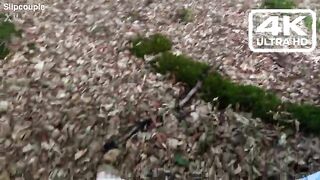 Nearly Caught: Public Lake Screw, Tugjob & Outdoor Void urine