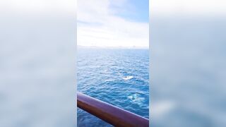 AGED LARGE TIT Cruise Ship ONLYFAN Movie scenes Oozes and Voyeur Peaks