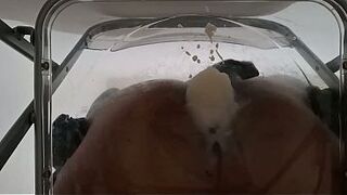 POV: Smutty Talk Plump Booty Femboy Raven Facesitting and Anal Creampie after Riding Sex toy throughout Transparent Chair