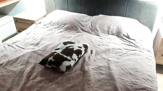 Shared a Hotel Room with My Step Sister... Things Got Wild - Absentia