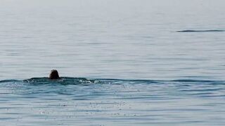 The journey blogger and kinky nudist gal screw on the beach