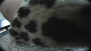 The Fuzzy Slippers