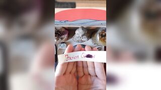 2026/08/29 - Zen Practice – Altar Offering