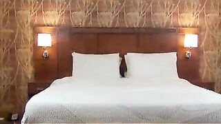 Lesbian Strapon Rough 