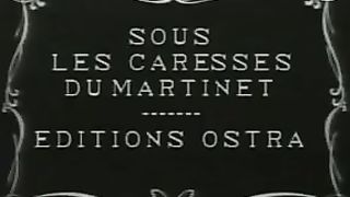 Sous Les Caresses Du Martinet