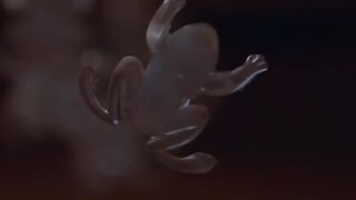 Vigorous masturbation with a feather