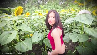No One Saw Us in the Sunflower Field as Step brother Drilled Me into Absolute Bliss-Greetings to Spouse ??