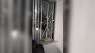 Nos quedamos en casa de unos amigos y terminamos Riva y yo cogiendo en la sala