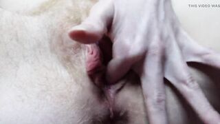 Extraordinary Closeup Cunt Fingering Masturbation