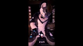 Hyena fursuiter and the magic desire