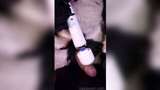 Hyena fursuiter and the magic desire