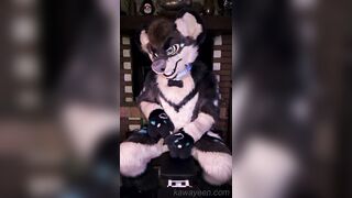 Hyena fursuiter and the magic desire