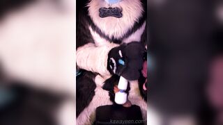 Hyena fursuiter and the magic desire