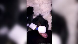 Hyena fursuiter and the magic desire