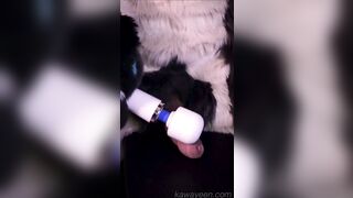 Hyena fursuiter and the magic desire