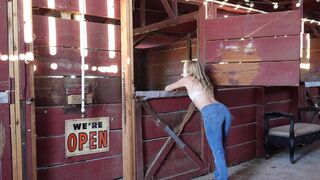 I Got Bred in the Barn