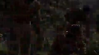 The Mastix of the Summer Garden (AI-generated) (No live-action) (NSFW) (fully voice)