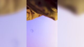Coarse sex session with large weenie madness not likewise