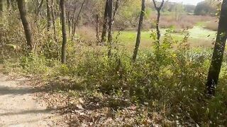 Went for a walk in the woods and discovered a freak