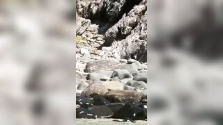 Floozy having sex on the beach with a stranger.