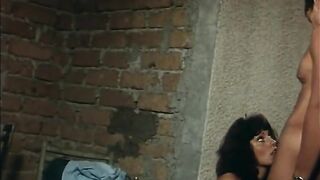 Vintage three-some unshaved snatch banging three-some party