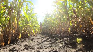EXHIBITIONIST mother I'd like to fuck GOLDEN-HAIRED MEETS THE WILD CORN FIELD