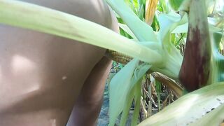 EXHIBITIONIST mother I'd like to fuck GOLDEN-HAIRED MEETS THE WILD CORN FIELD