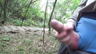 COCK FLASH ADVENTURE: Stranger grabbed my shlong in public place