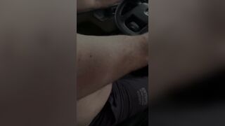Sex in a Car with a Transvestite.
